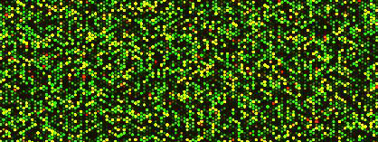 Microarray Data from an Ebola Infected Macaque